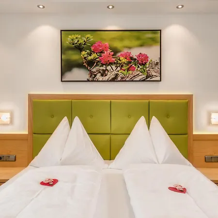 לינה וארוחת בוקר Haus Elisabeth Mühlbach am Hochkönig