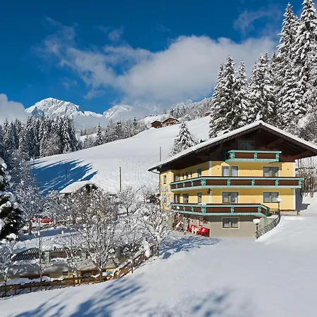 Haus Elisabeth فندق مبيت وإفطار 3*