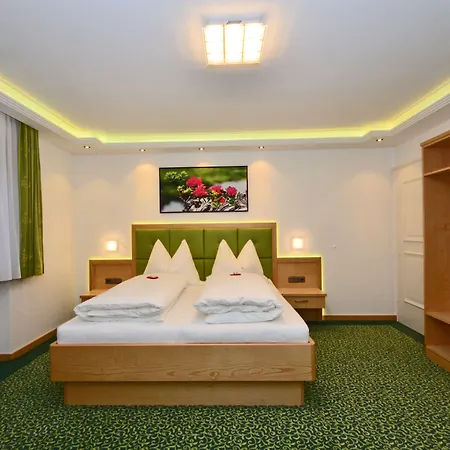 לינה וארוחת בוקר Haus Elisabeth Mühlbach am Hochkönig