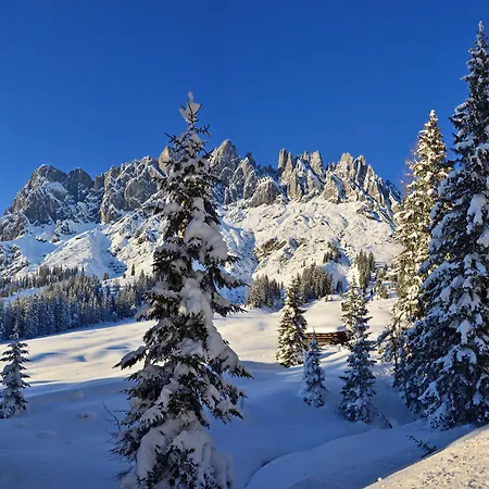 לינה וארוחת בוקר Haus Elisabeth 3*