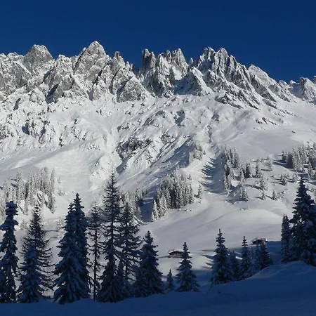 לינה וארוחת בוקר Haus Elisabeth