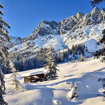 Haus Elisabeth Bed & Breakfast Muhlbach Am Hochkonig