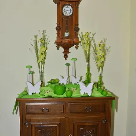 Haus Elisabeth Bed & Breakfast Muhlbach Am Hochkonig