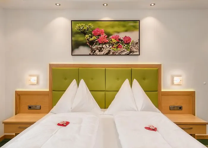 فندق مبيت وإفطار Haus Elisabeth Mühlbach am Hochkönig