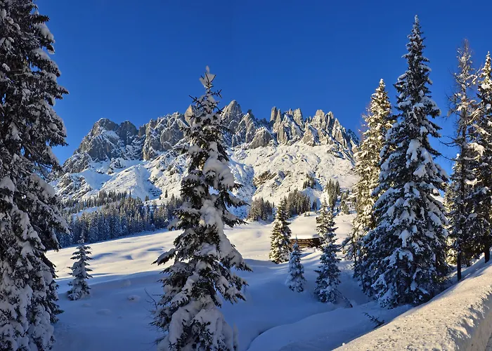 فندق مبيت وإفطار Haus Elisabeth 3*